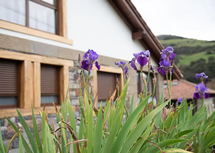 Casa Vacacional La Pedrera Chalet *